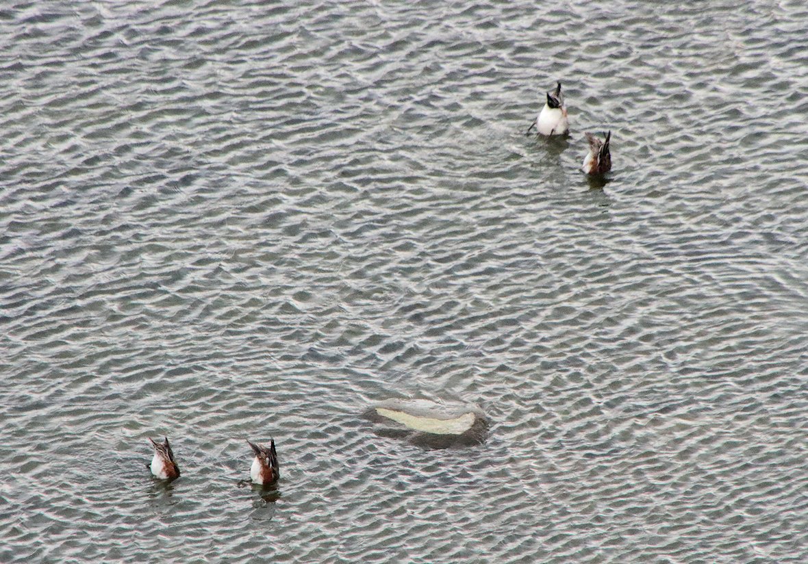 �}�K���@�H����