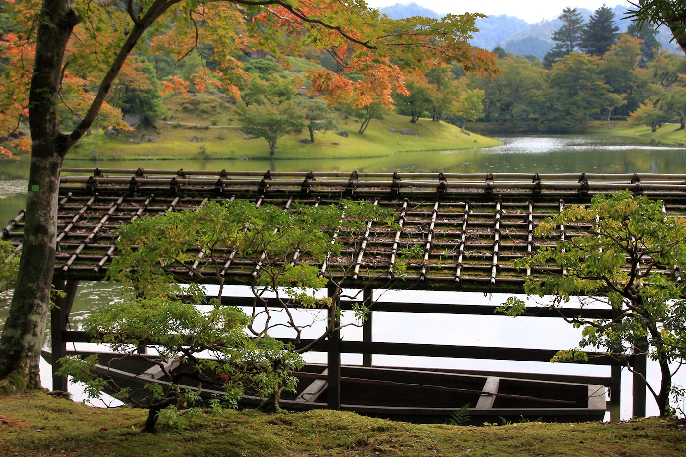 �C�w�@���{�P�O��