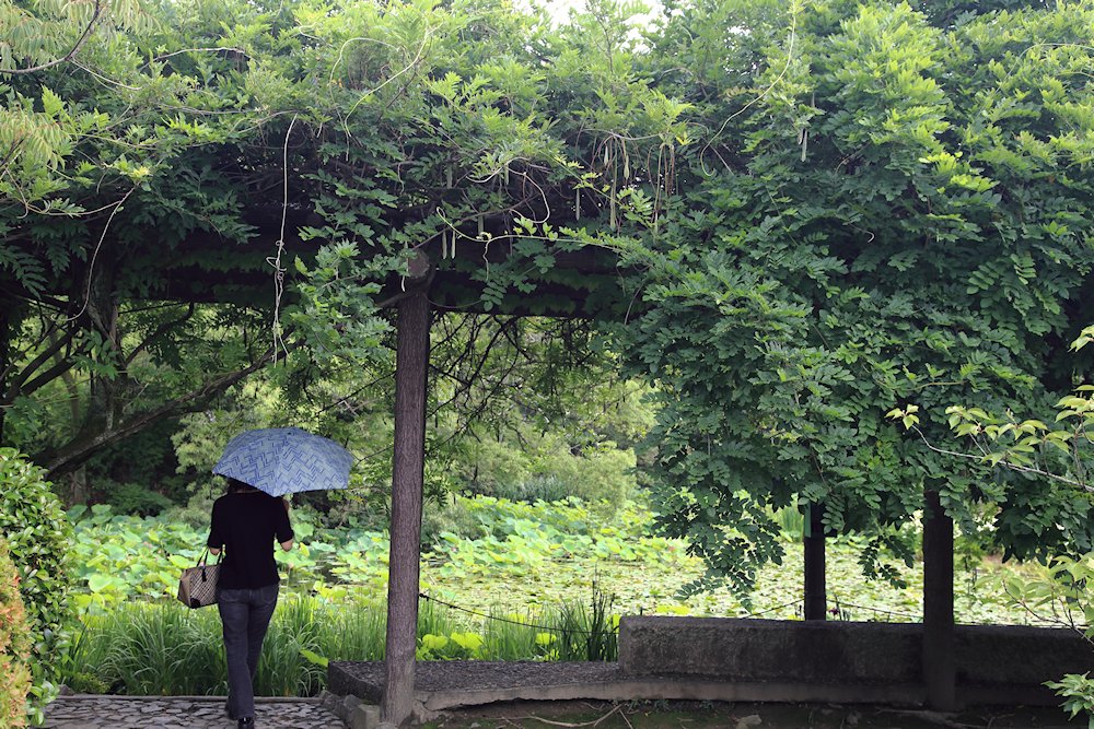 ���C���i�����イ���j