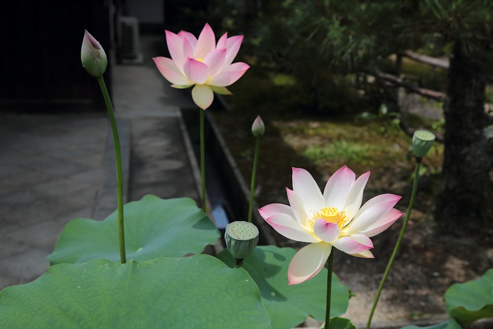 �@�����@