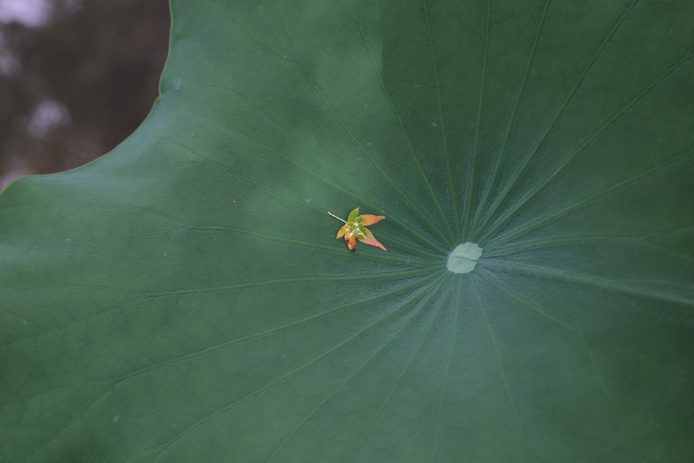 �@�����@