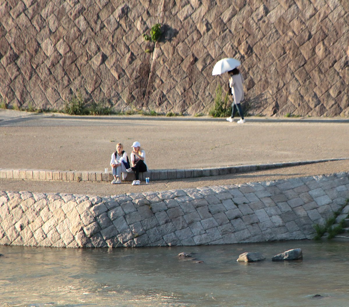 �����W���p�j�[�Y