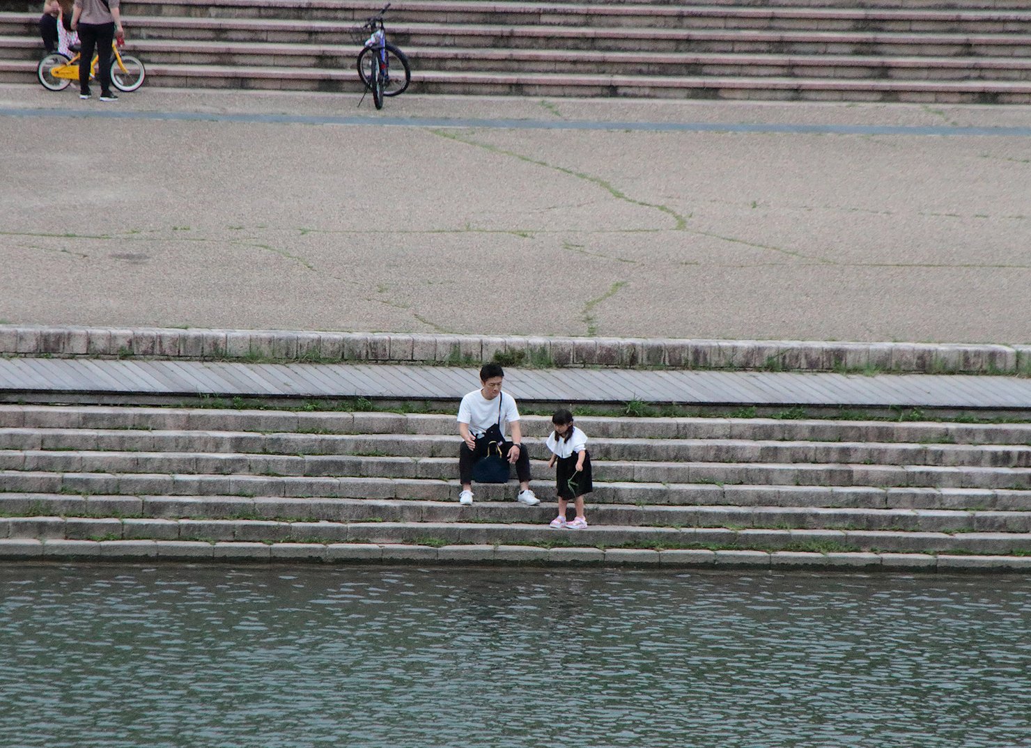 �������Ă���