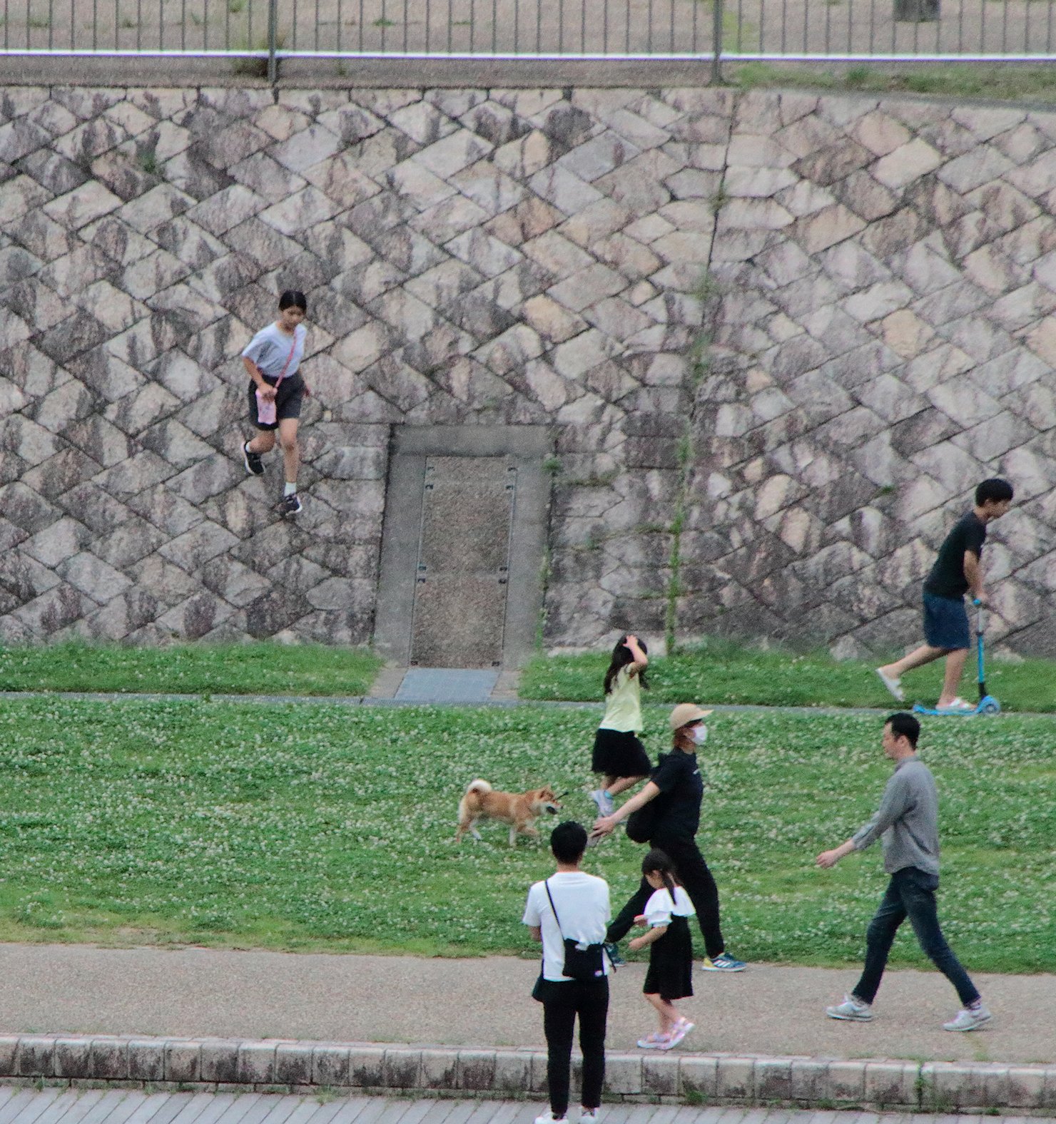 ���ӂ̏������킯�����@���̌��Œ��˂Ă�������������~��