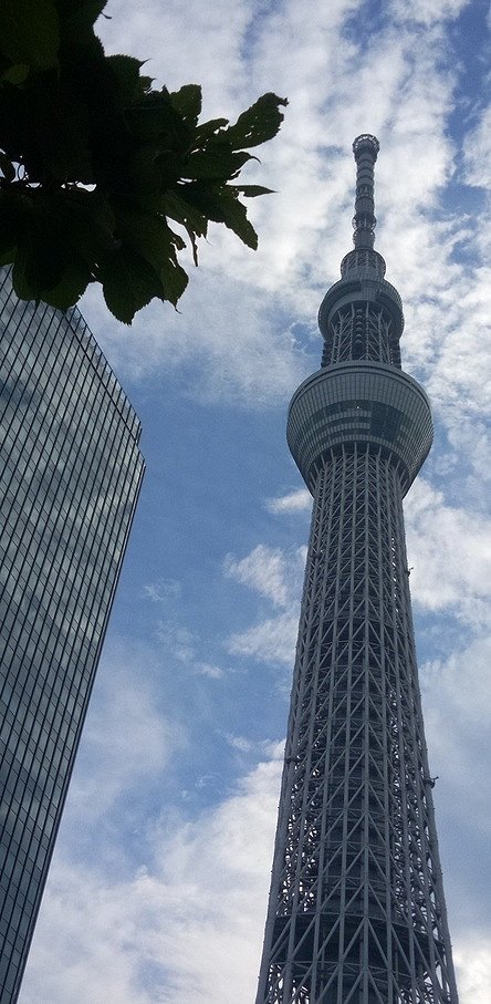 スカイツリー
