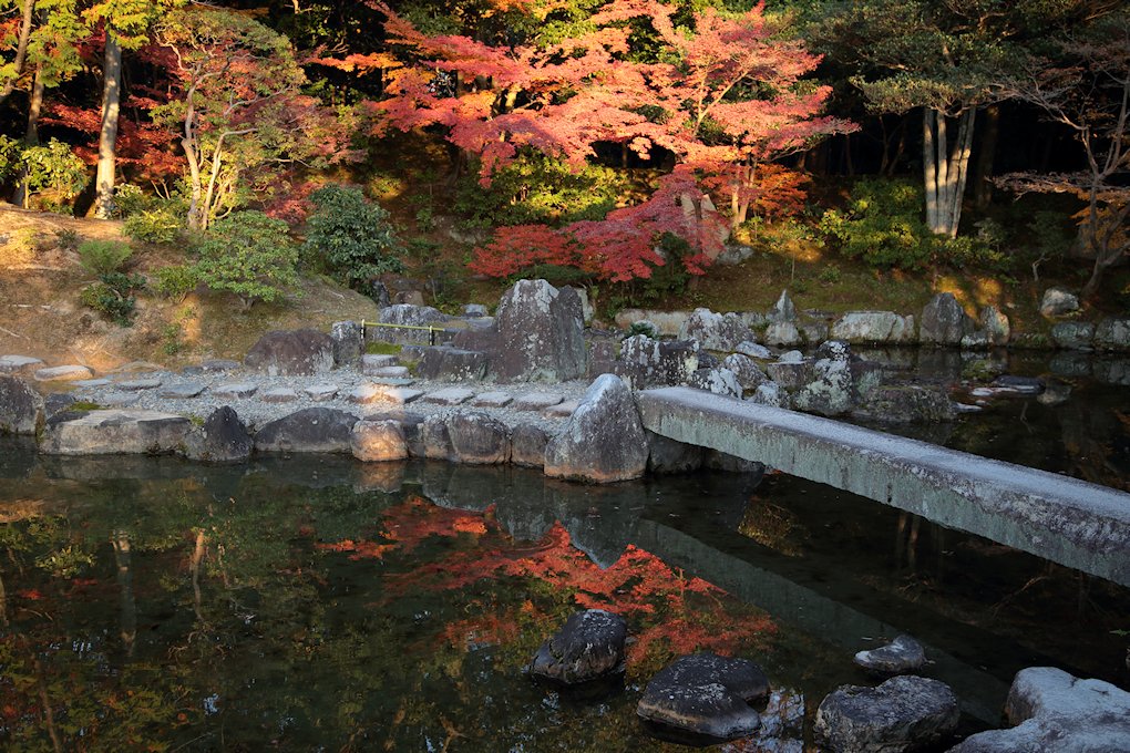 �j���{�@�P�P��