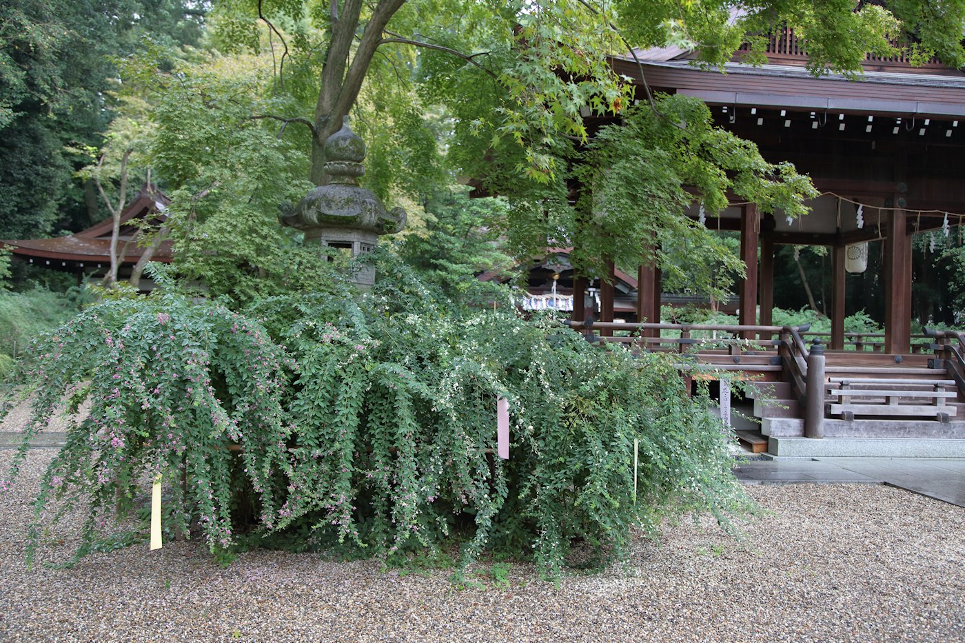 ���ؐ_�Ё@���@�X��