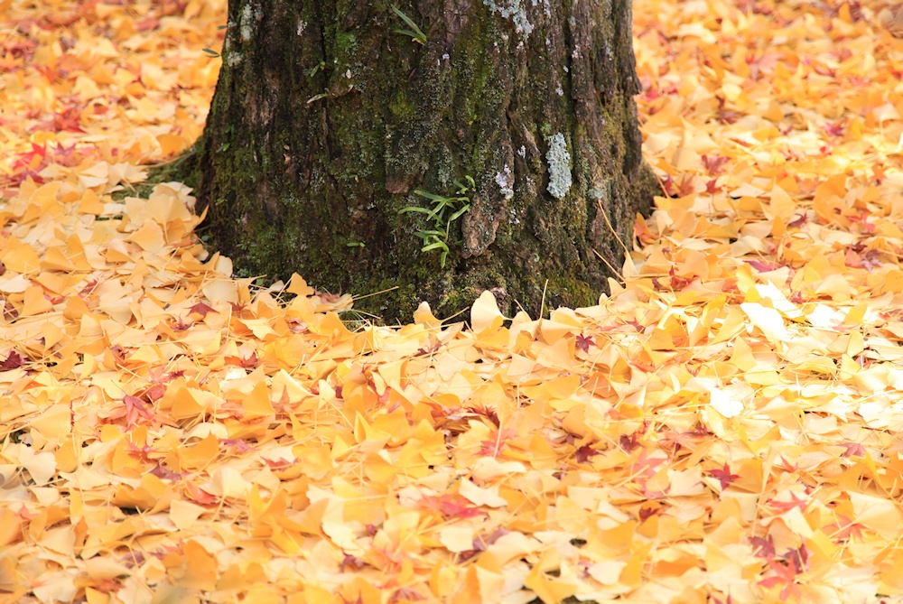 �������@�P�P��