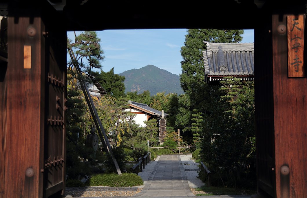 �V�J���@�z���̖�@���ʂɔ�b�R�@�P�O��