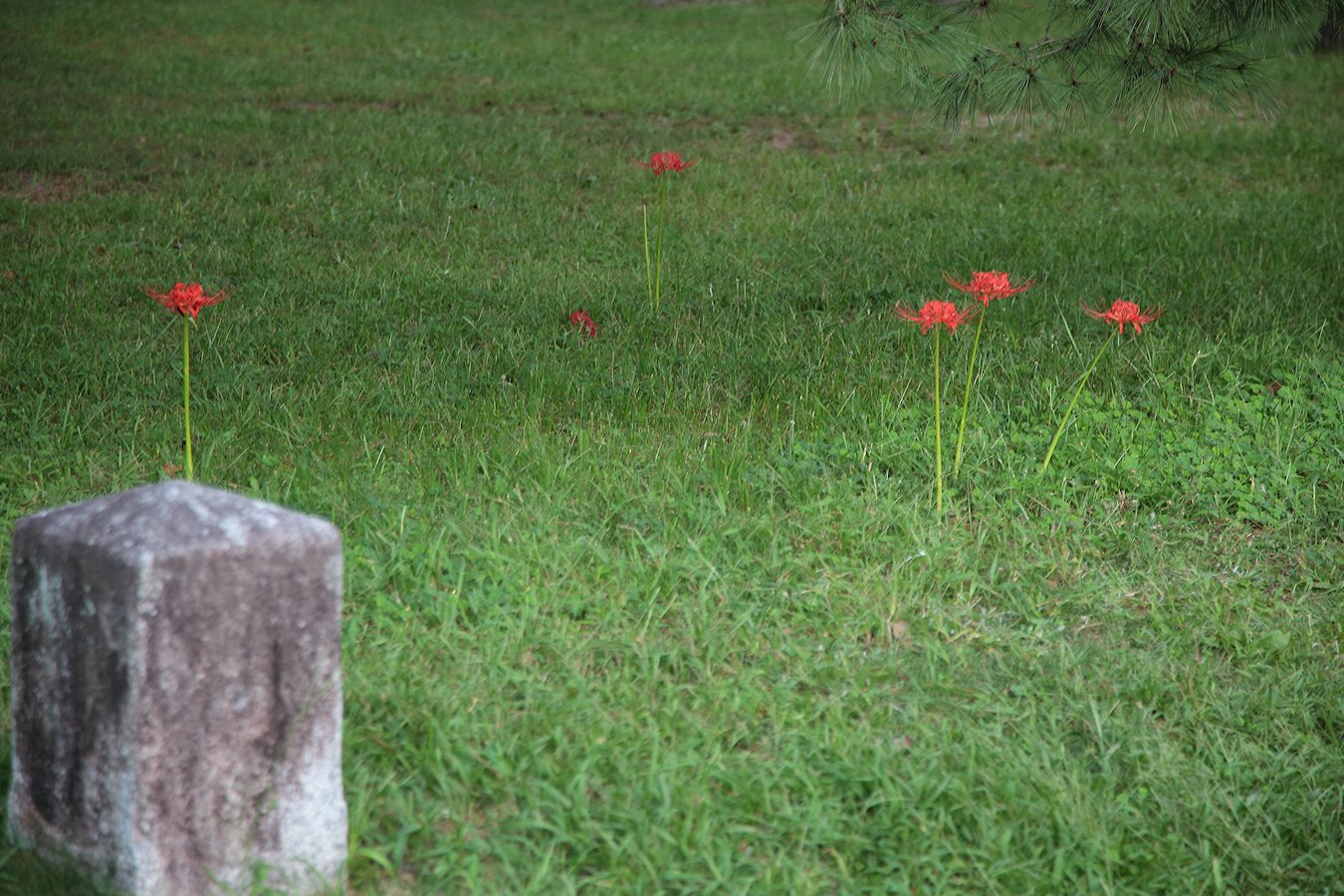 ���s�䉑�@�o�b�^�����@�֎썹�؁@�X��