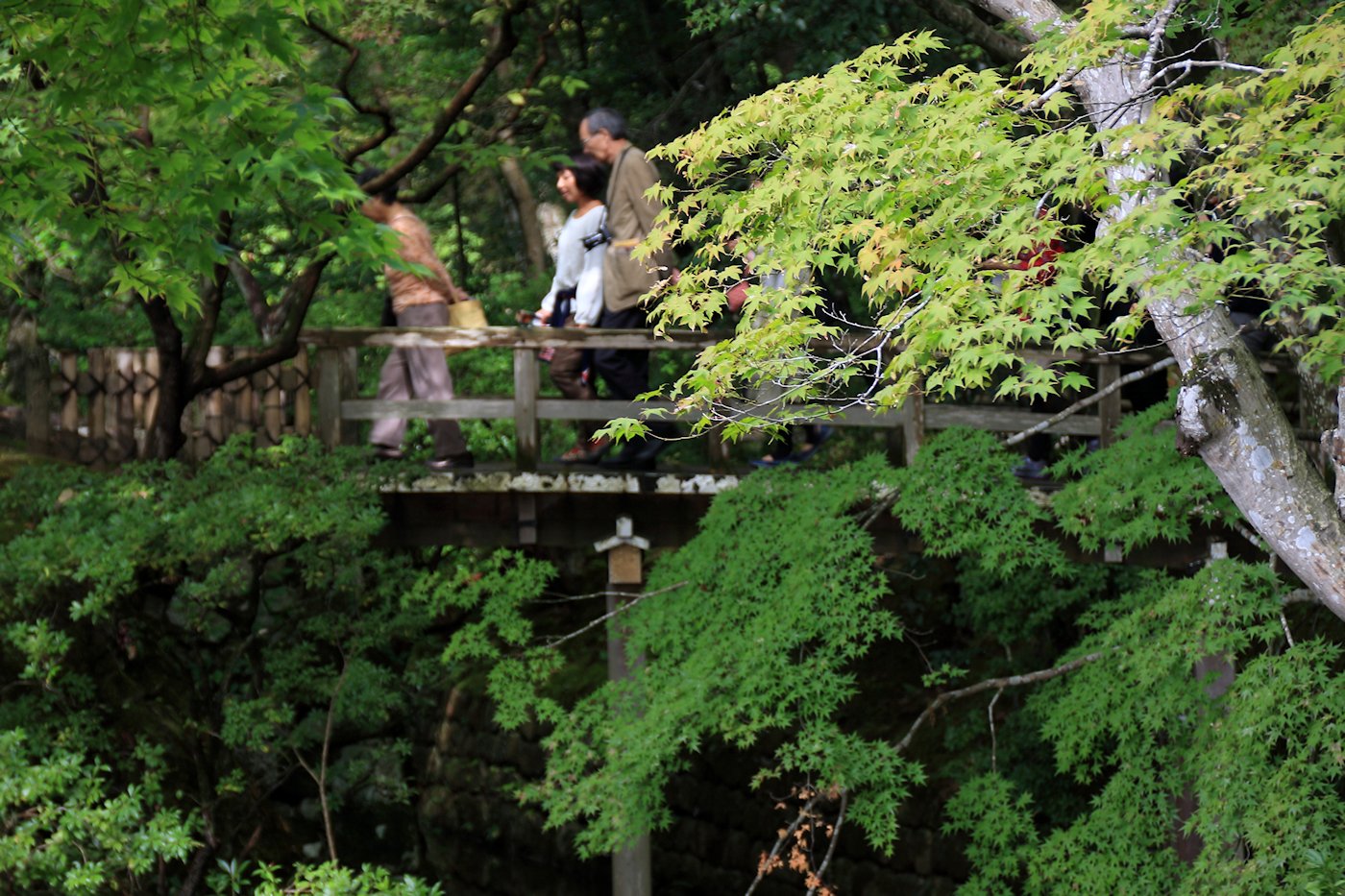 �C�w�@���{�P�O�� �@�ʐ^�̓�l�A�e�q���N�̗��ꂽ�J�b�v���Ɍ����܂����A�A�J�̑��l�B