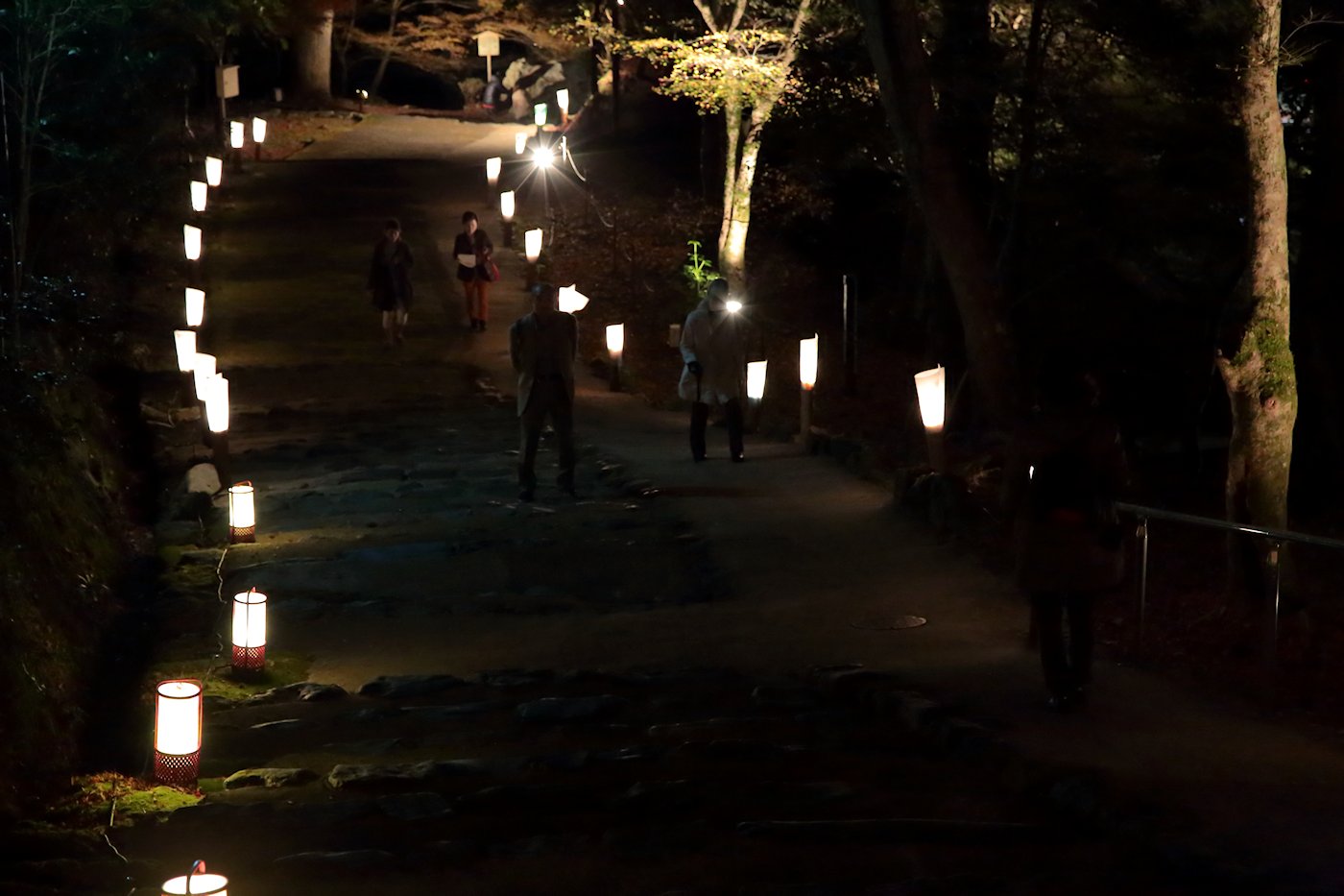 �_�쎛 ���H�@�P�P��