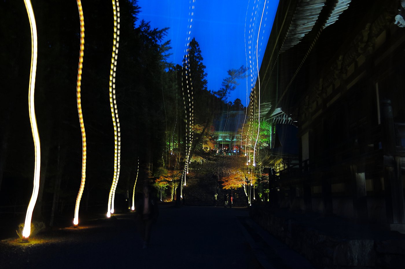 �_�쎛�@�P�P��