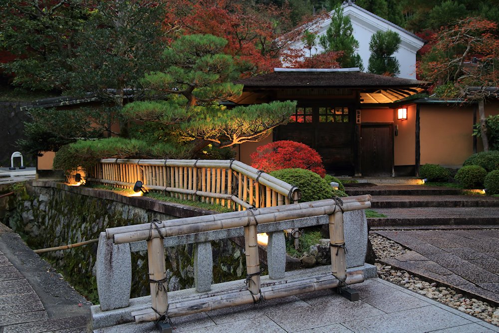 �N�w�̓��@�P�P��