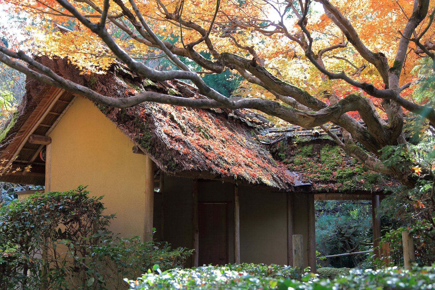 �}�����@�P�P��