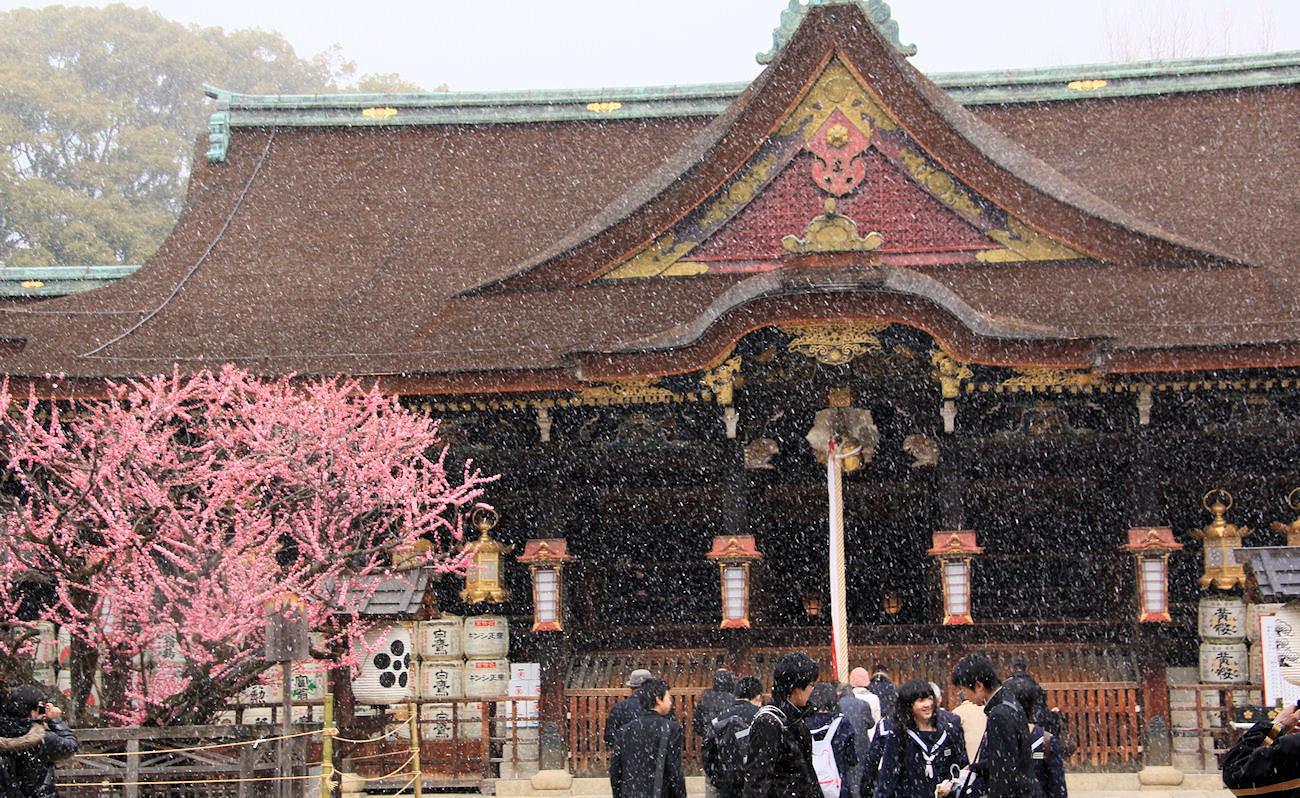 �k��V���{