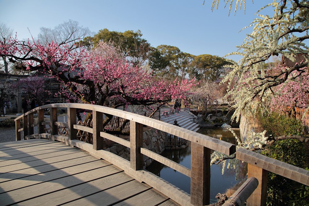 �k��V���{