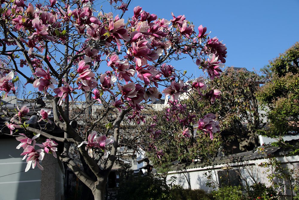 ���@���@���N����