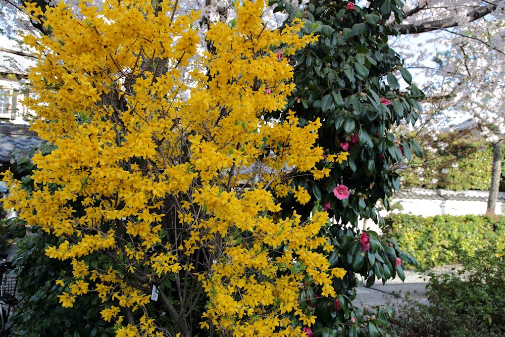 ���@���@�����M���E