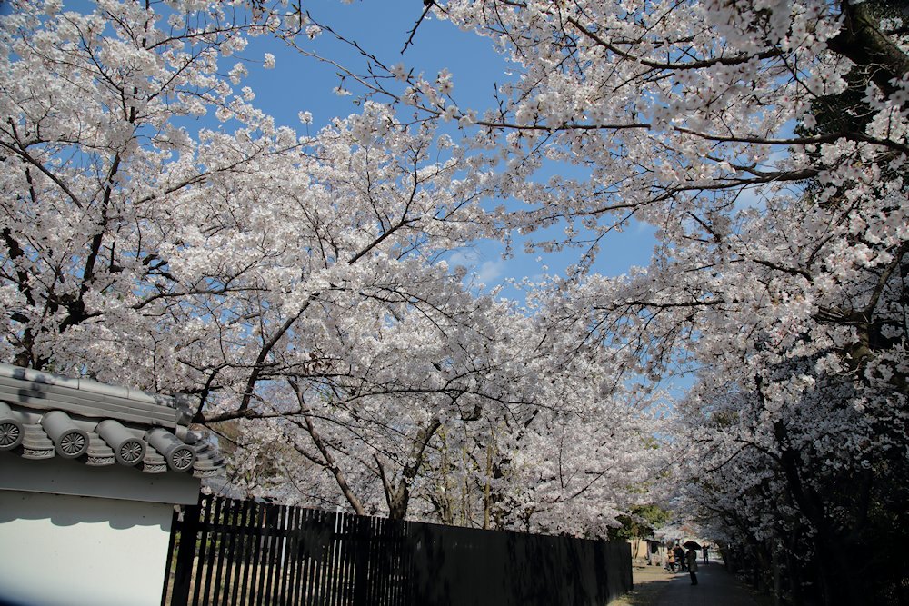 ���y���@