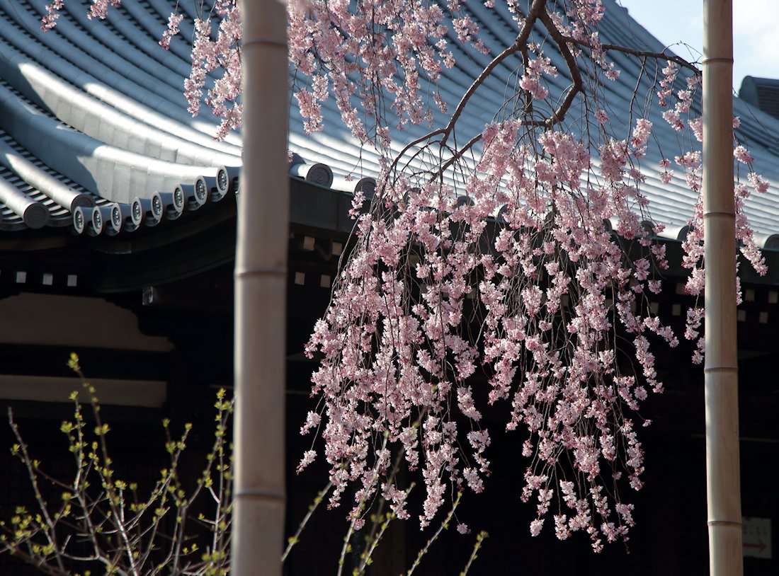 �@�����@