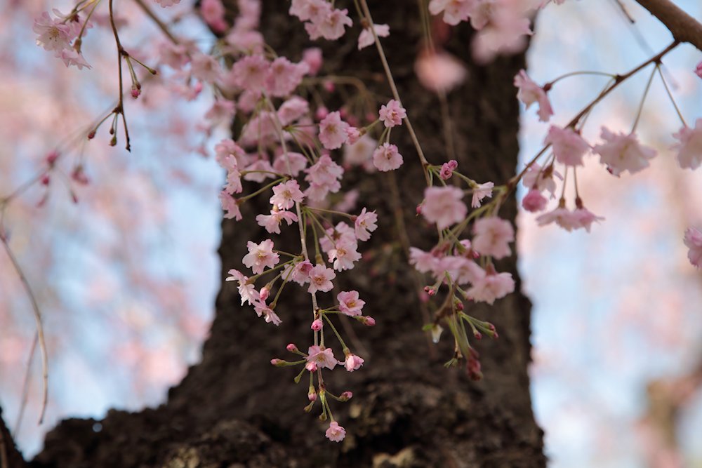 �{���A����