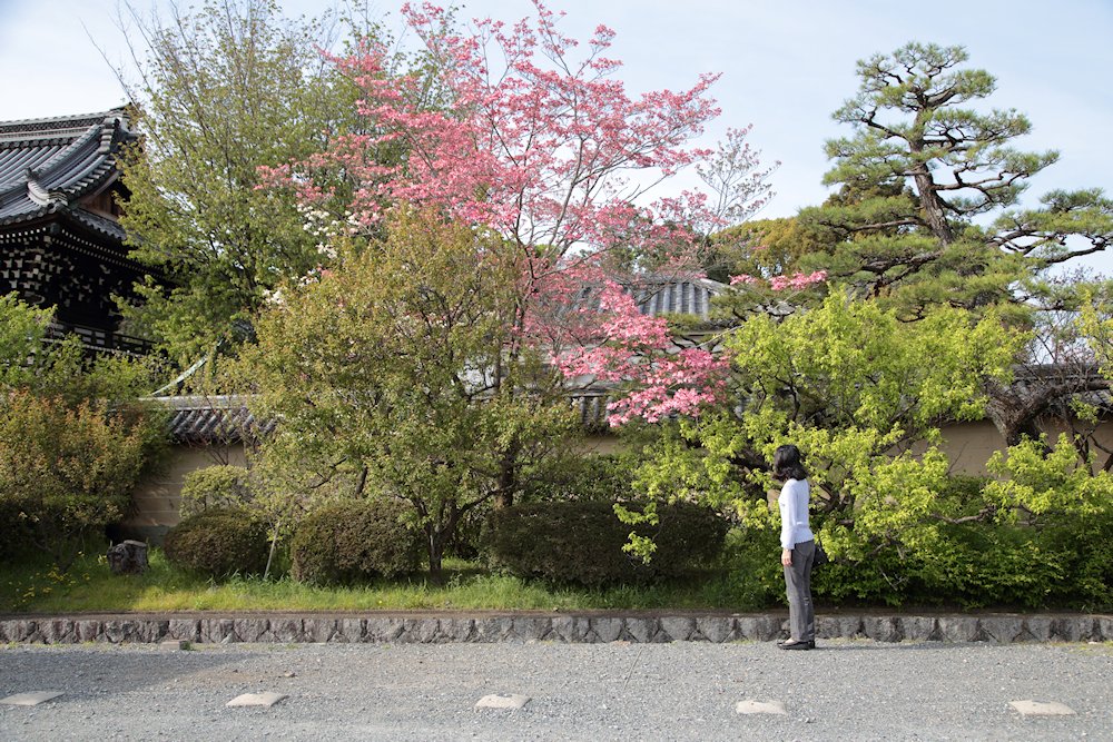 �~�{��� �n�i�~�Y�L