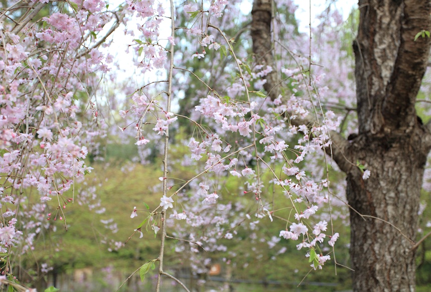 �S�l������