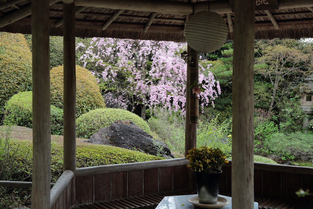 ���S���ޑ��@