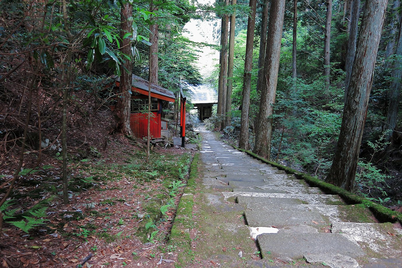 �≮�R�u���@