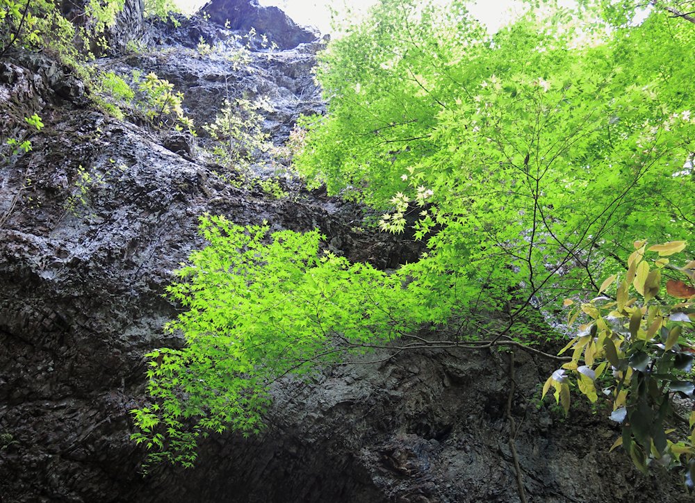 �≮�R�u���@