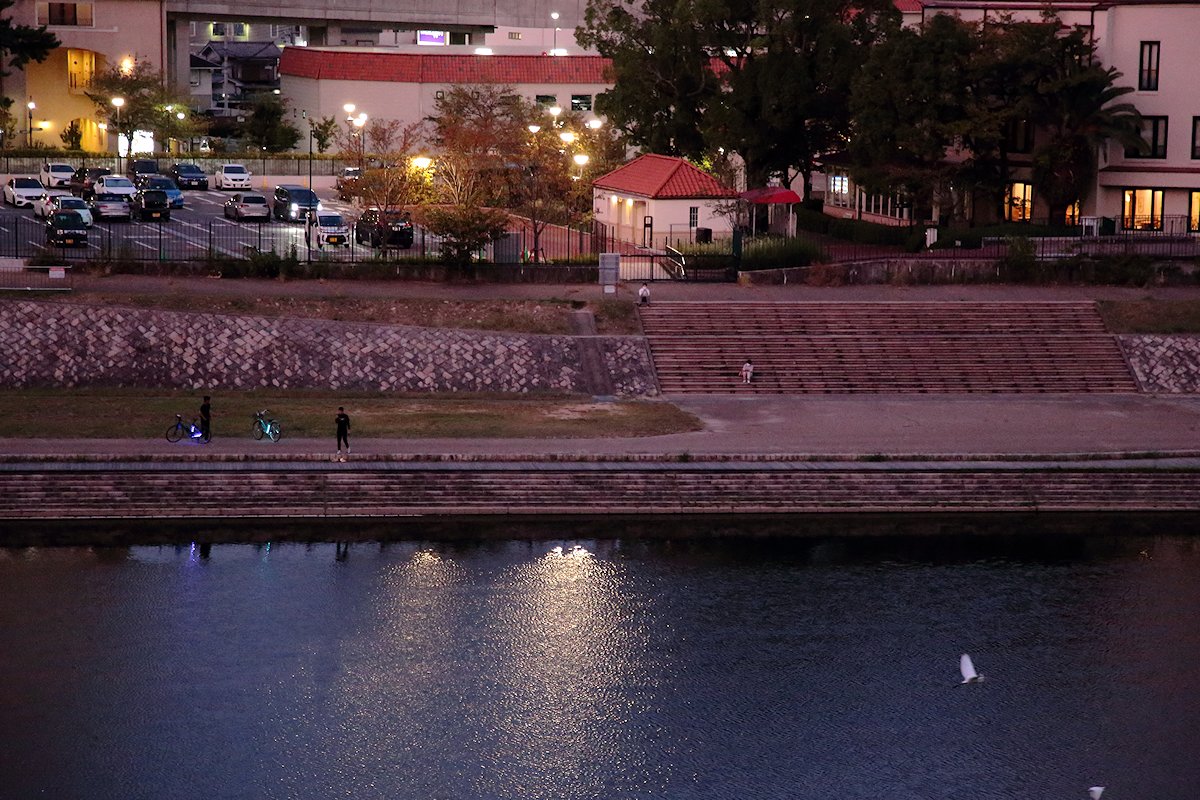 �E���ɃT�M���Q�H