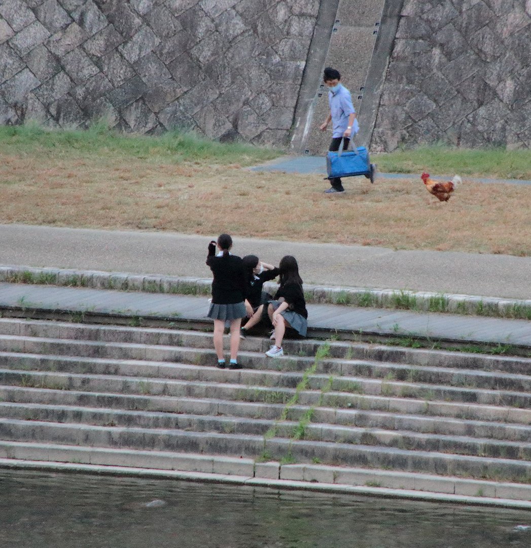 �j���g��