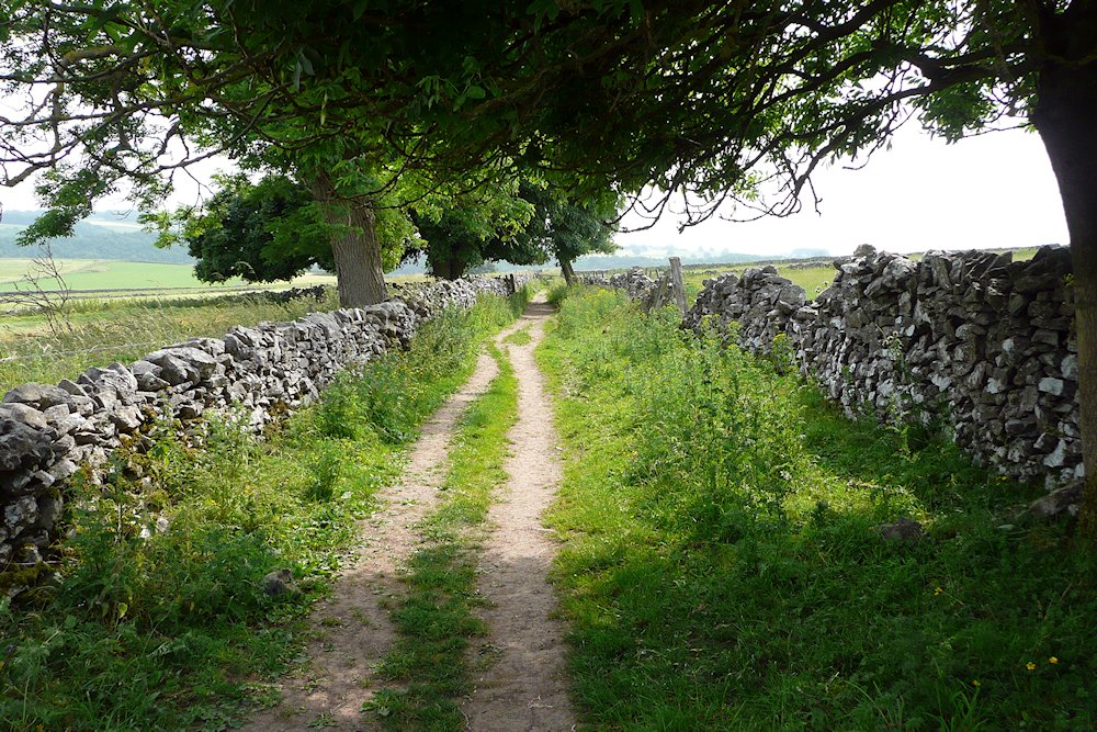 �t�b�g�p�X�@�s�[�N�E�f�B�X�g���N�g