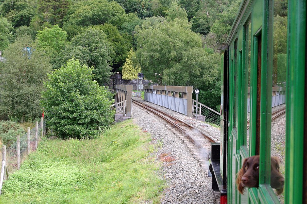 �h���o�_�[���S���@�Ō���@��Ԓ��̌��Ɩڂ��������@�E�F�[���Y