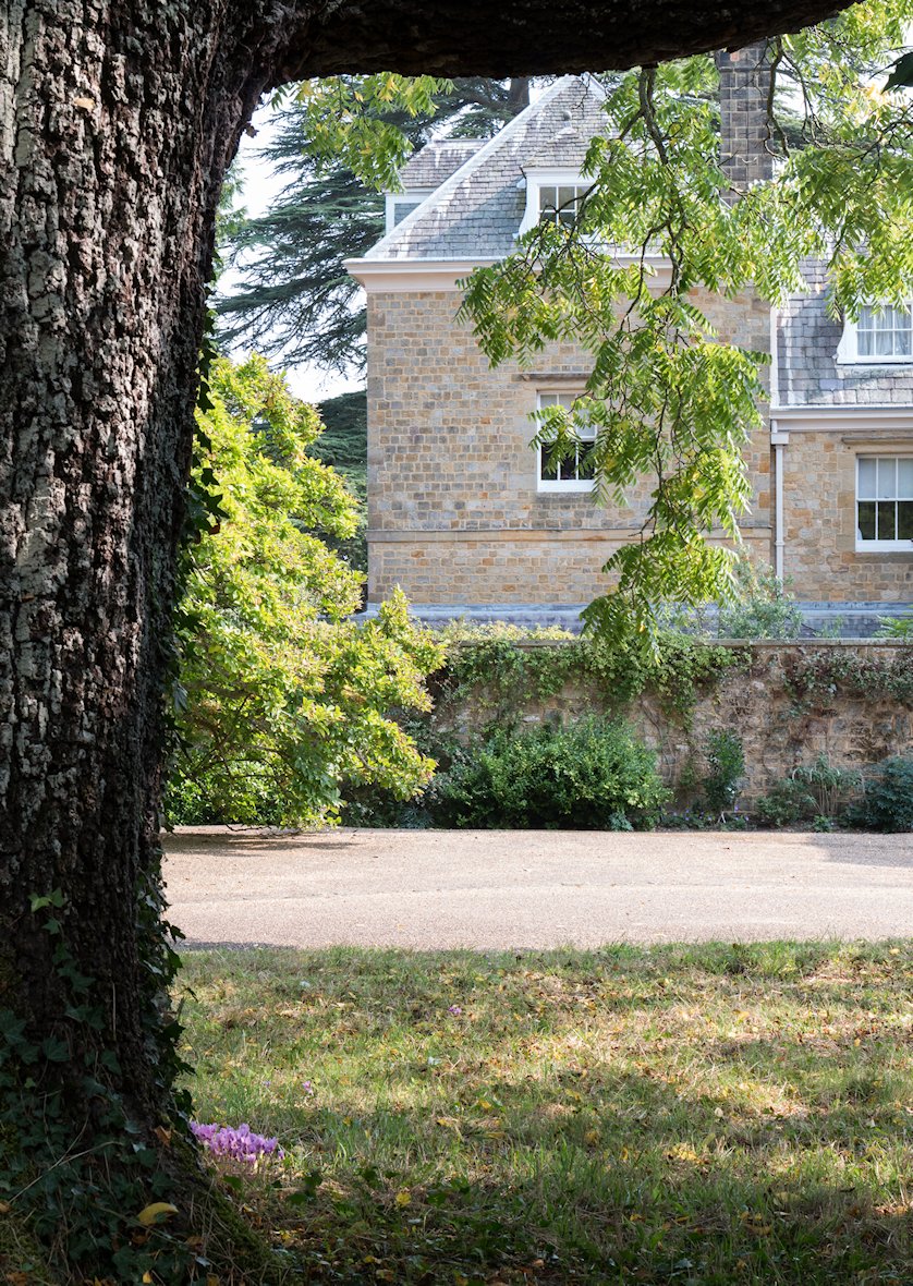 �R�b�c�E�H���Y