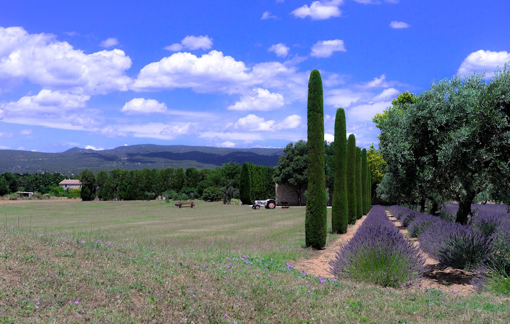 ���[���}����