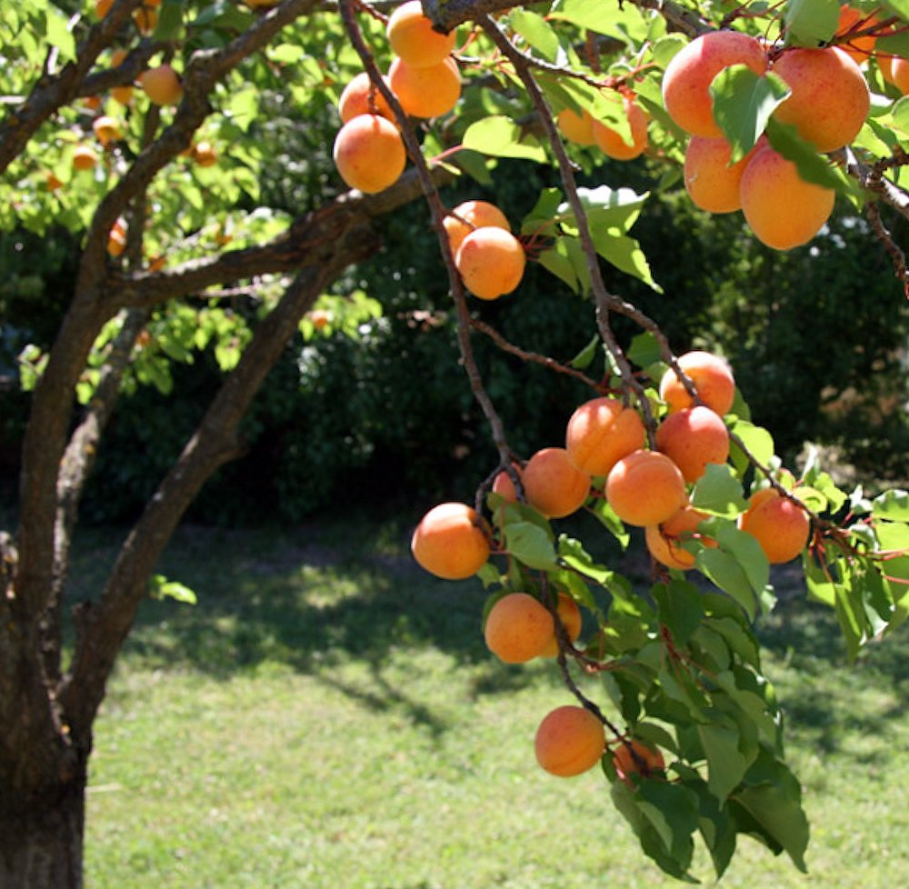 �@�`�Ɍ����܂����A�v���R�b�g�@�@�����x����