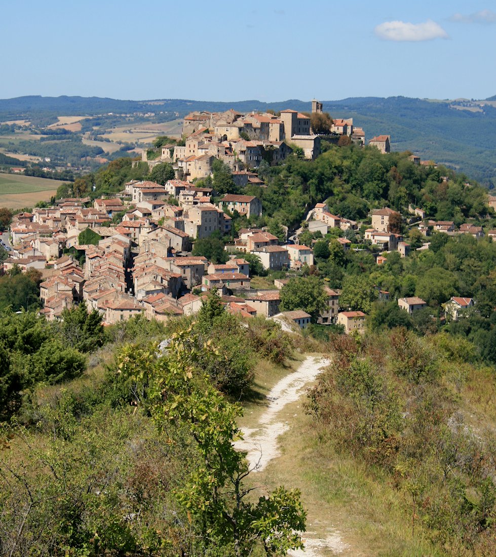 �R���h�E�V�����E�V�F��